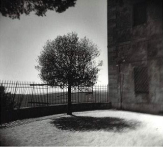 Harvey Stein